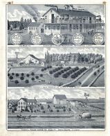 Jas. Wiley Carriage and Wagon Manufactory, John Stabler Stock Farm Residence, Sivilian Lester, Burns, Henry County 1875